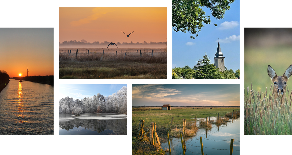 collage-background-mobile